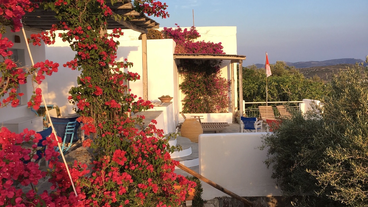 Photo of Outdoor in Tripiti