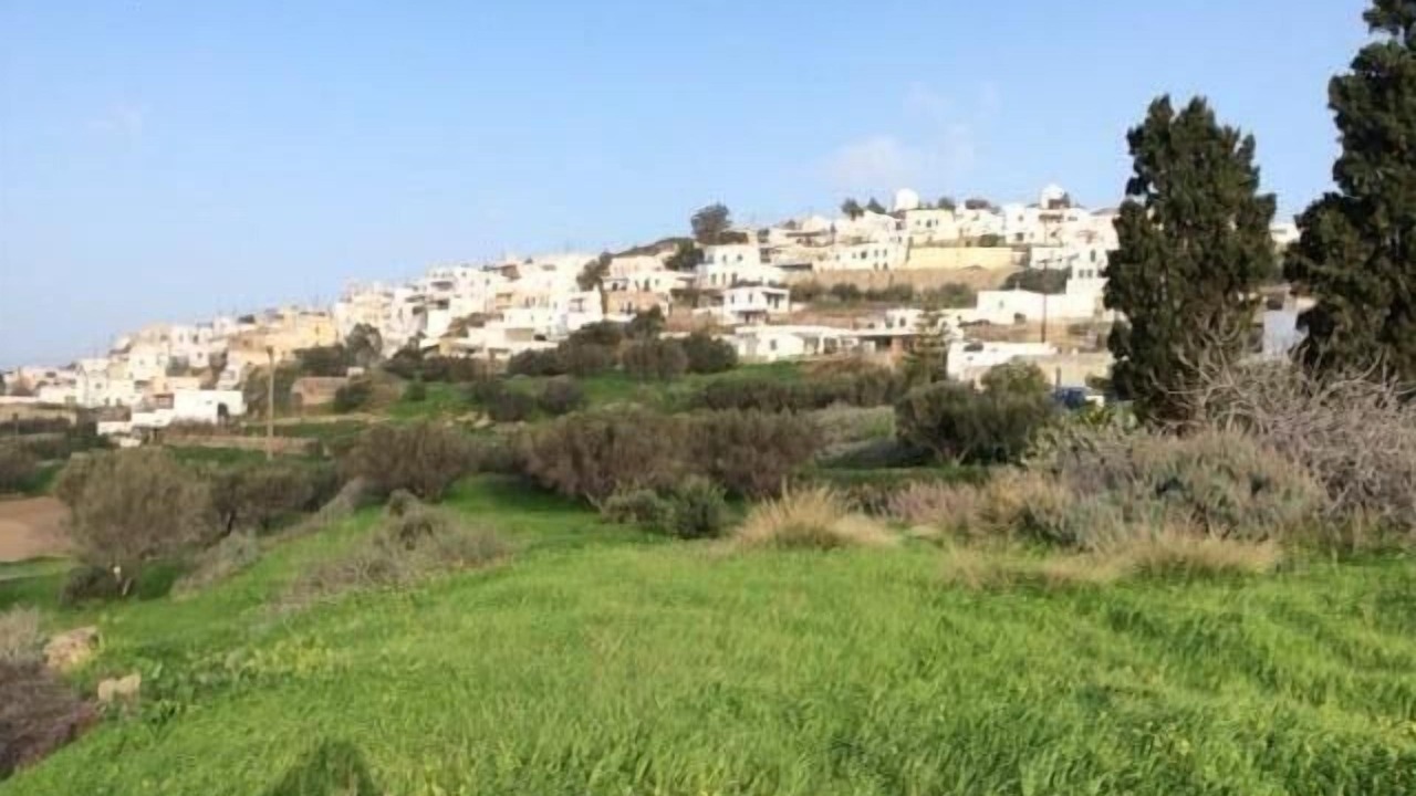 Photo of Others in Tripiti