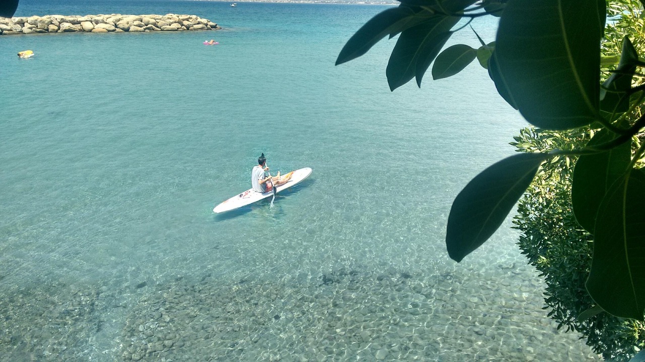 Photo of Others in Diasella