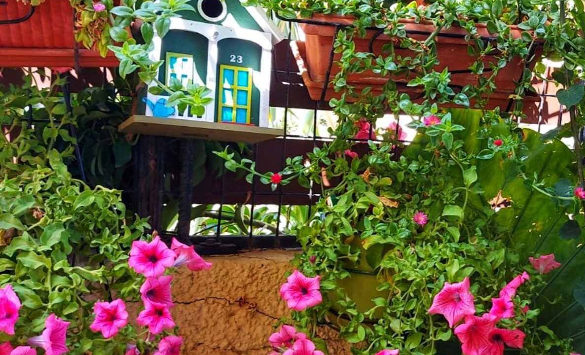 Photo of Outdoor in Platanias Town