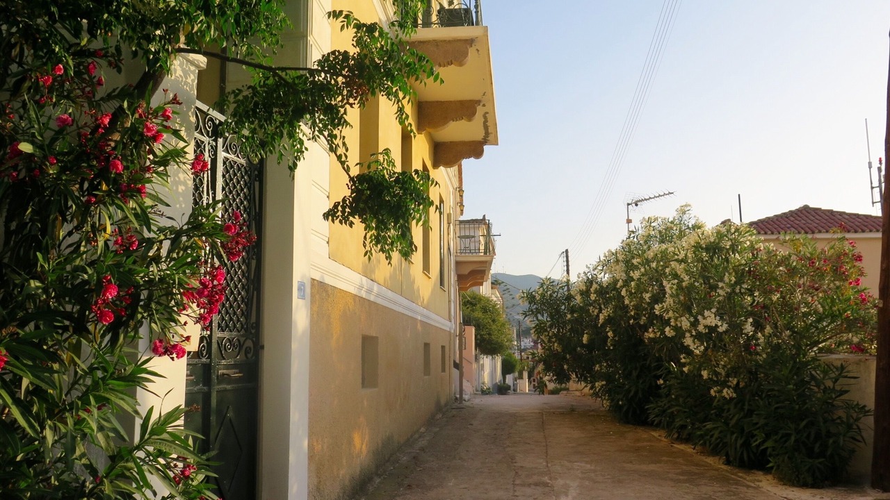 Photo of Others in Poros
