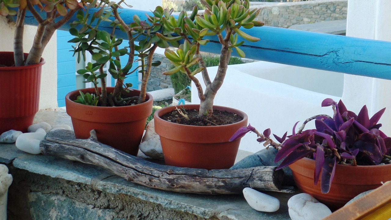 Photo of Outdoor in Agios Sostis