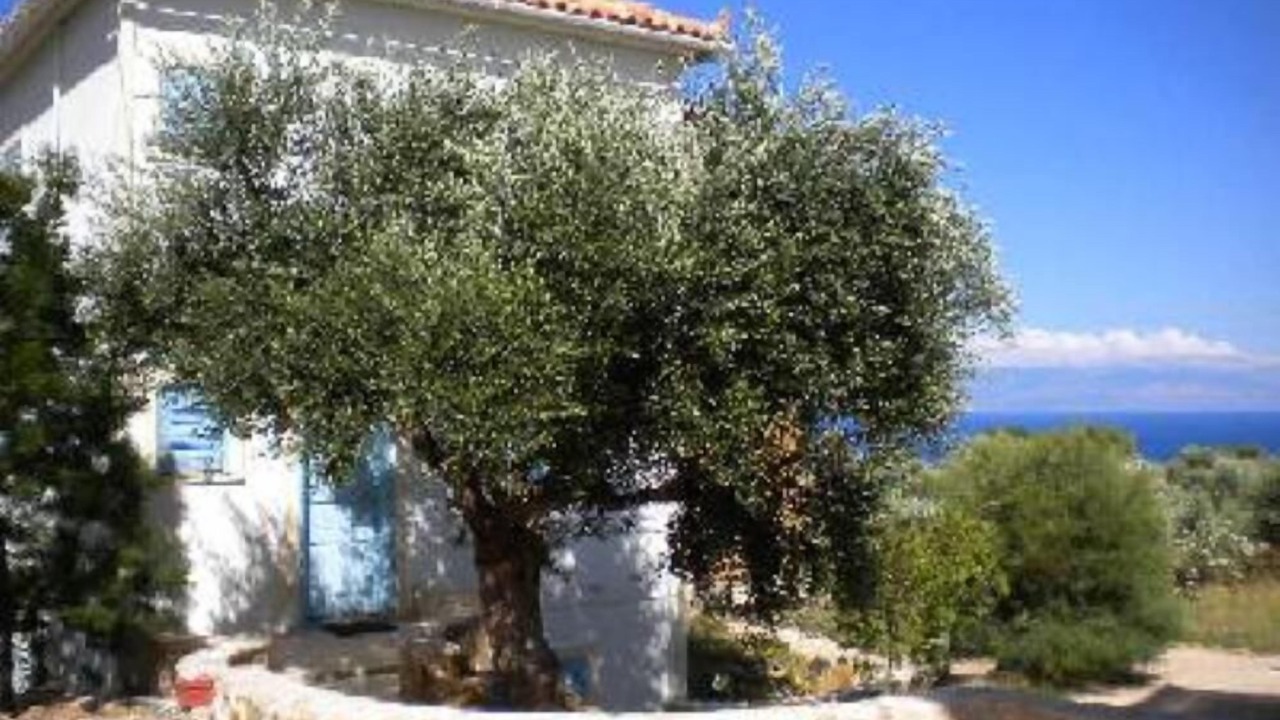 Photo of Outdoor in Aipeia