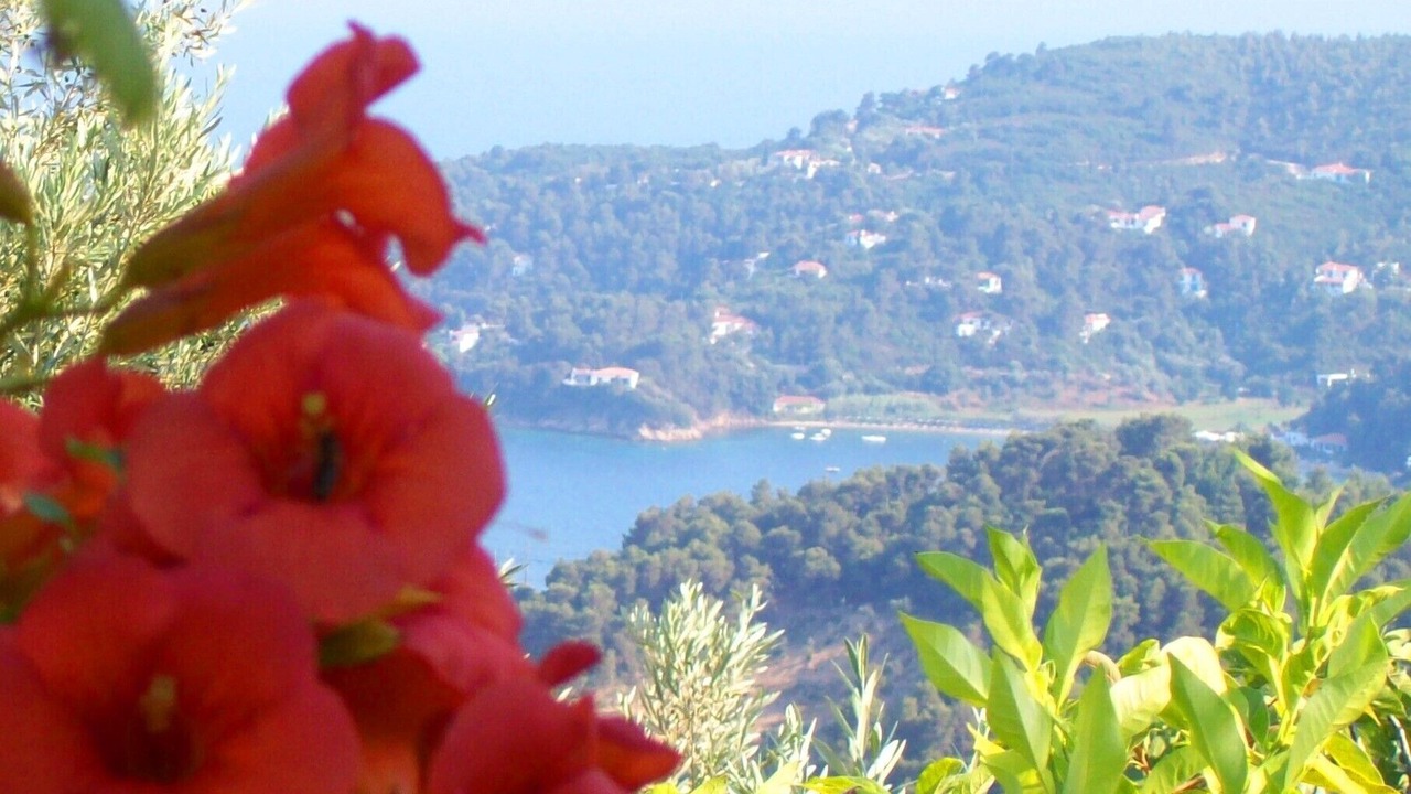 Photo of Others in Katsarou