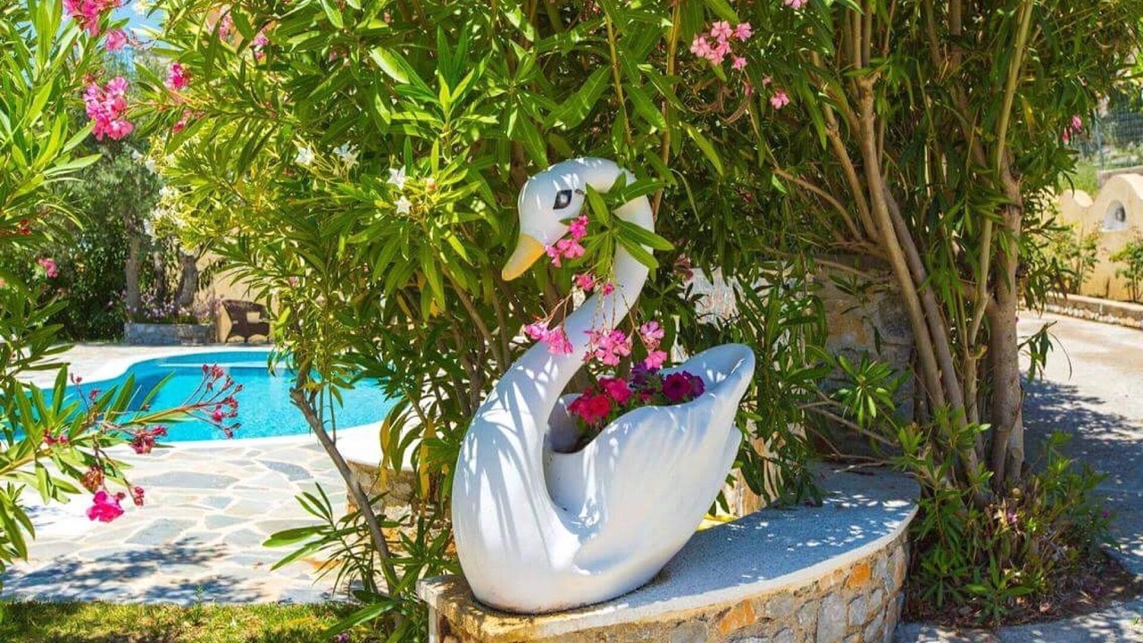 Photo of Outdoor in Skiathos Town