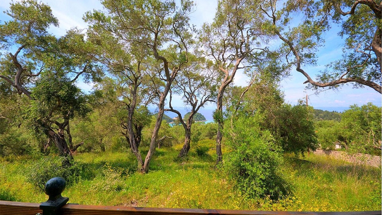 Photo of Others in Lakka