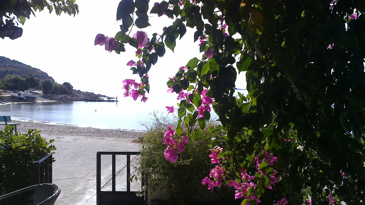 Photo of Outdoor in Haraki