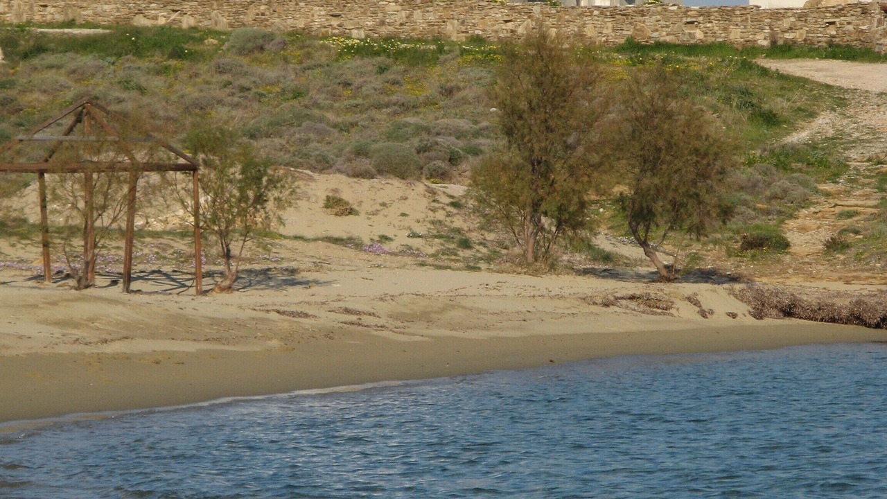 Photo of Others in Logaras