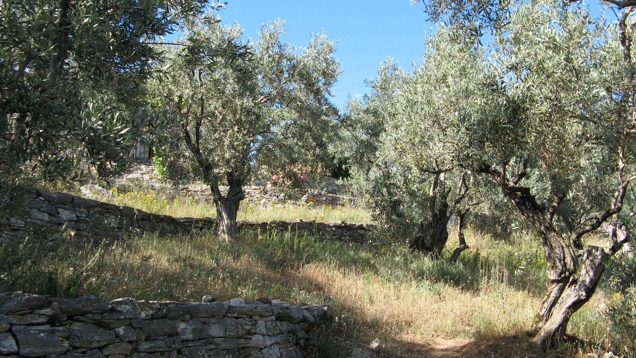 Photo of Outdoor in South Pelion