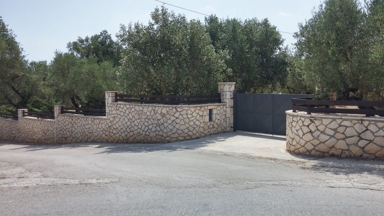 Photo of Others in Tsilivi