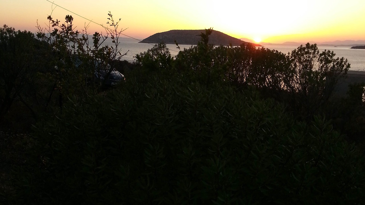 Photo of Others in Thymari