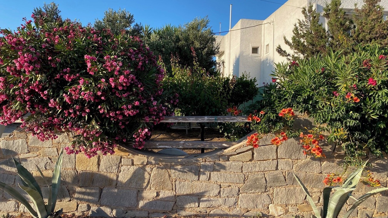 Photo of Outdoor in Aliki