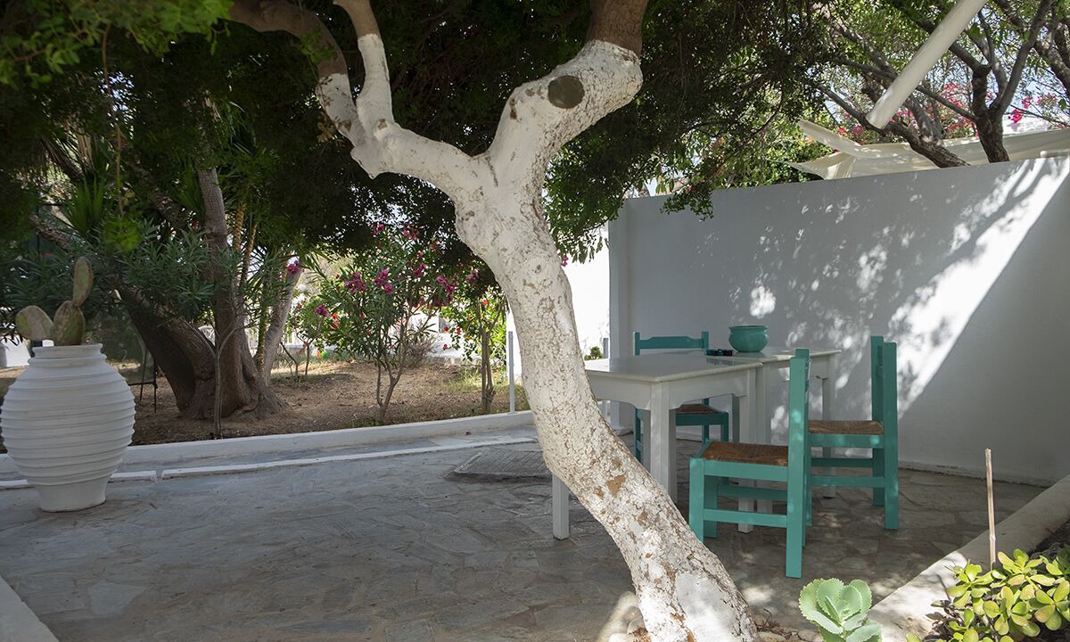 Photo of Outdoor in Aliki