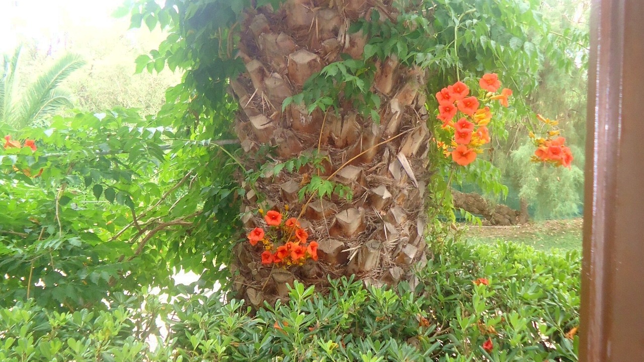 Photo of Outdoor in Molos
