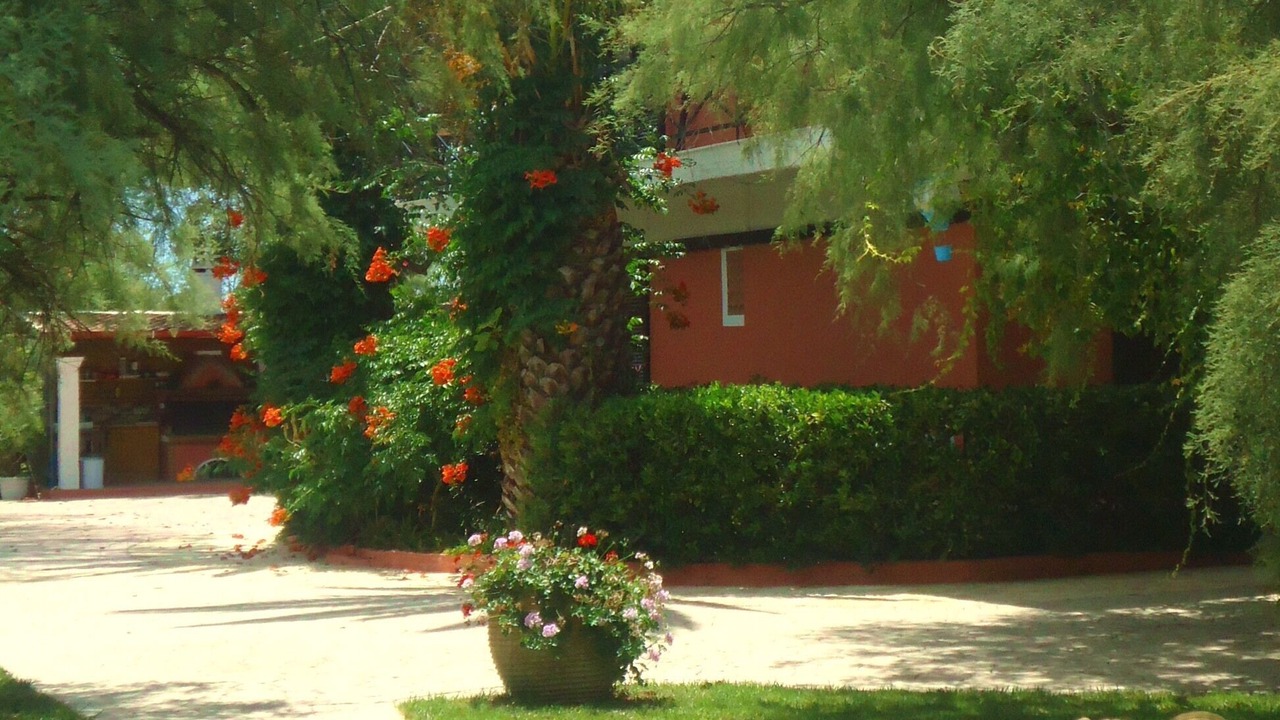 Photo of Outdoor in Molos