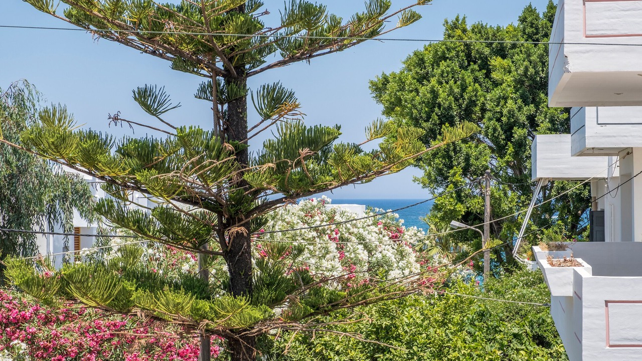Photo of Outdoor in Agii Apostoli