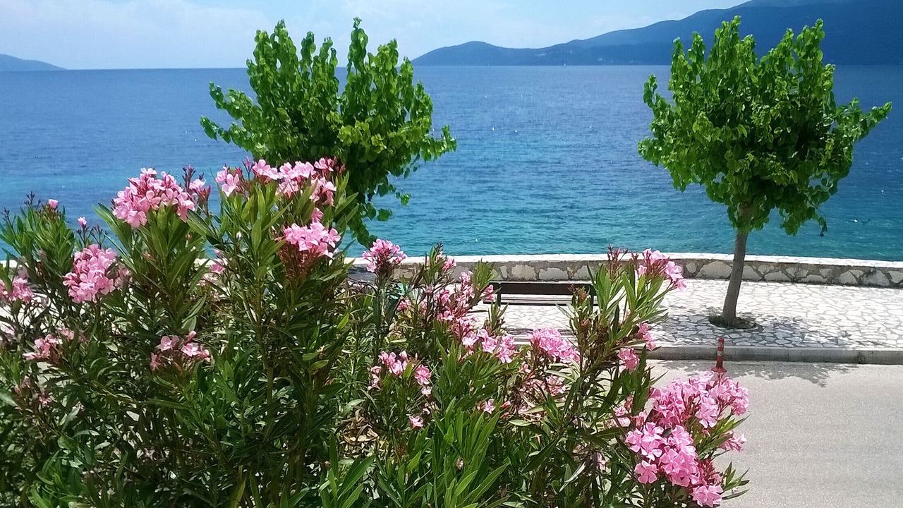 Photo of Outdoor in Agia Efimia