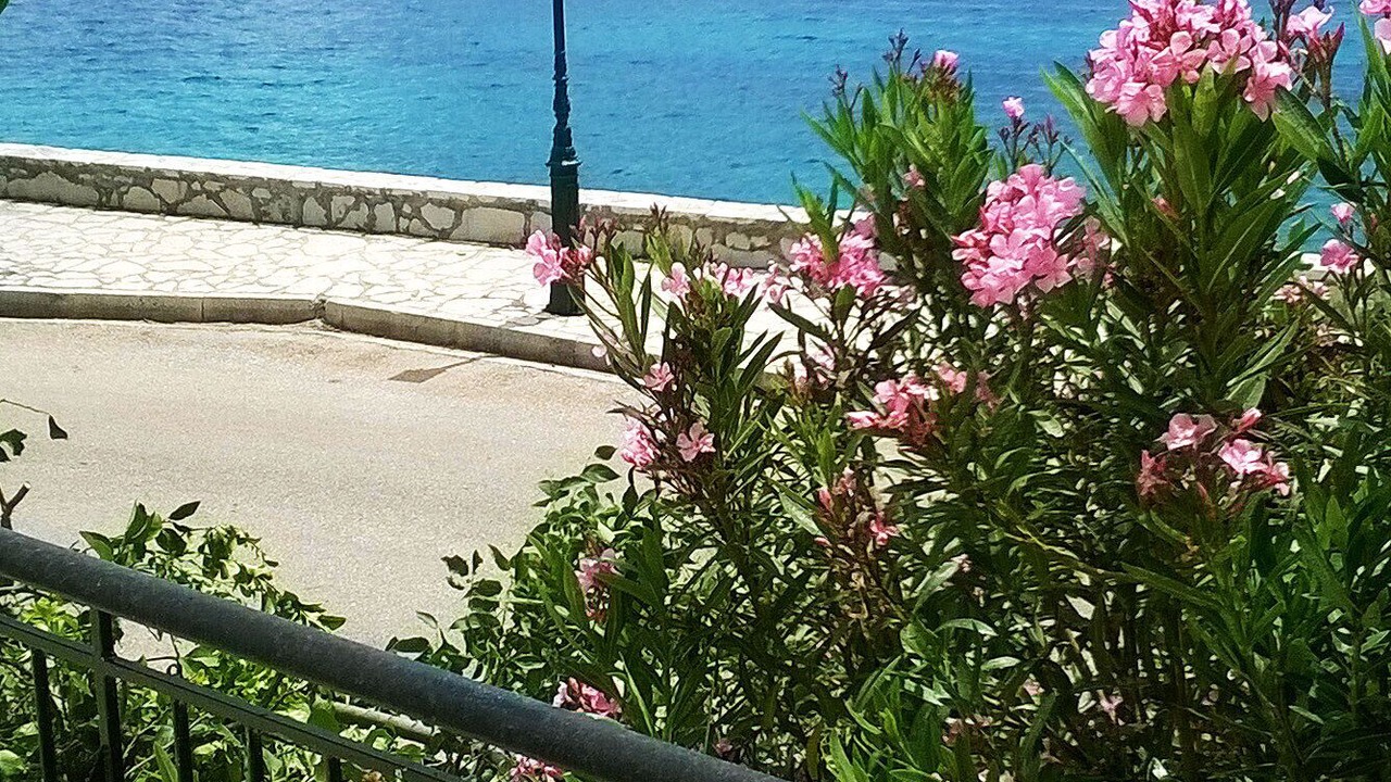 Photo of Patio Balcony in Agia Efimia