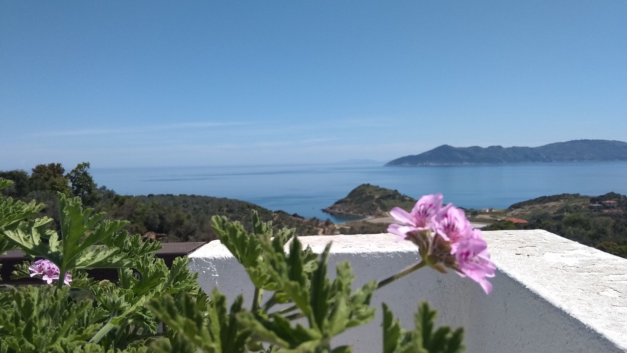 Photo of Others in Skiathos