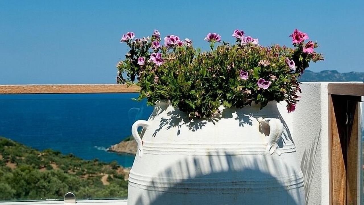 Photo of Others in Skiathos