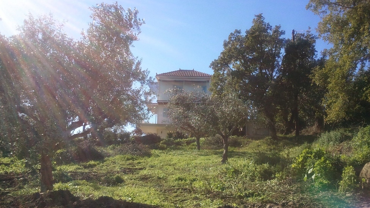 Photo of Outdoor in Aipeia