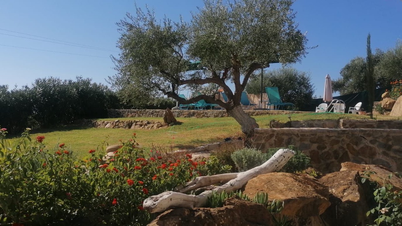 Photo of Outdoor in Aipeia