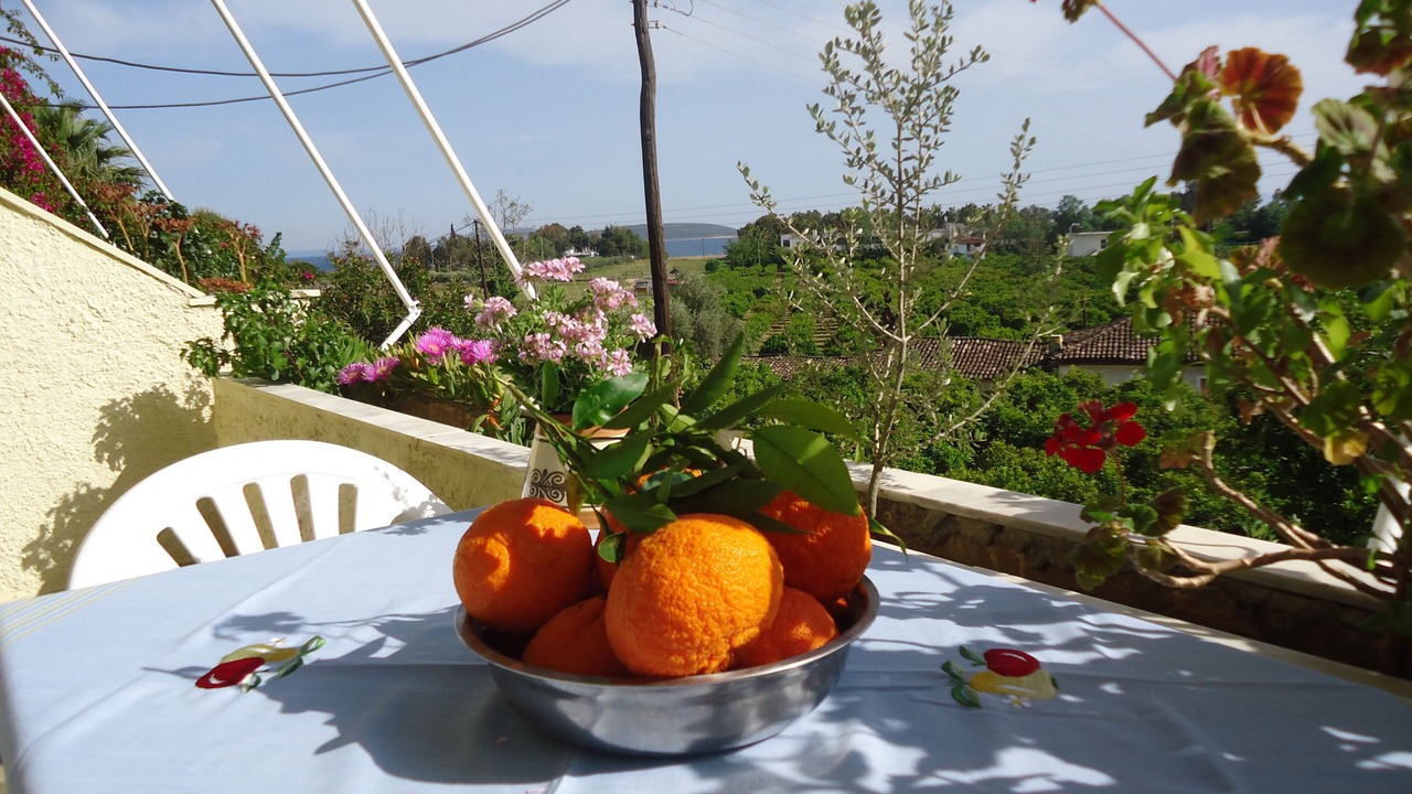 Photo of Outdoor in Drepano