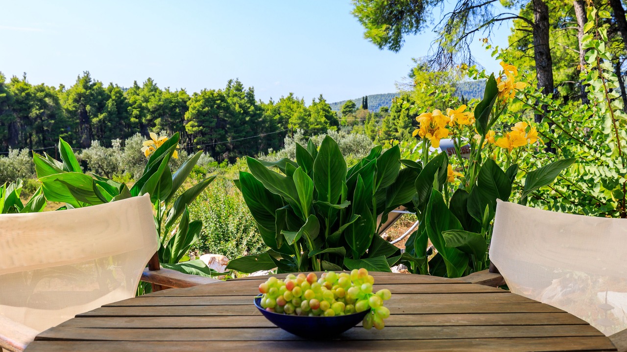 Photo of Outdoor in Alikias