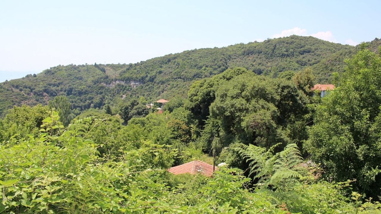 Photo of Others in South Pelion