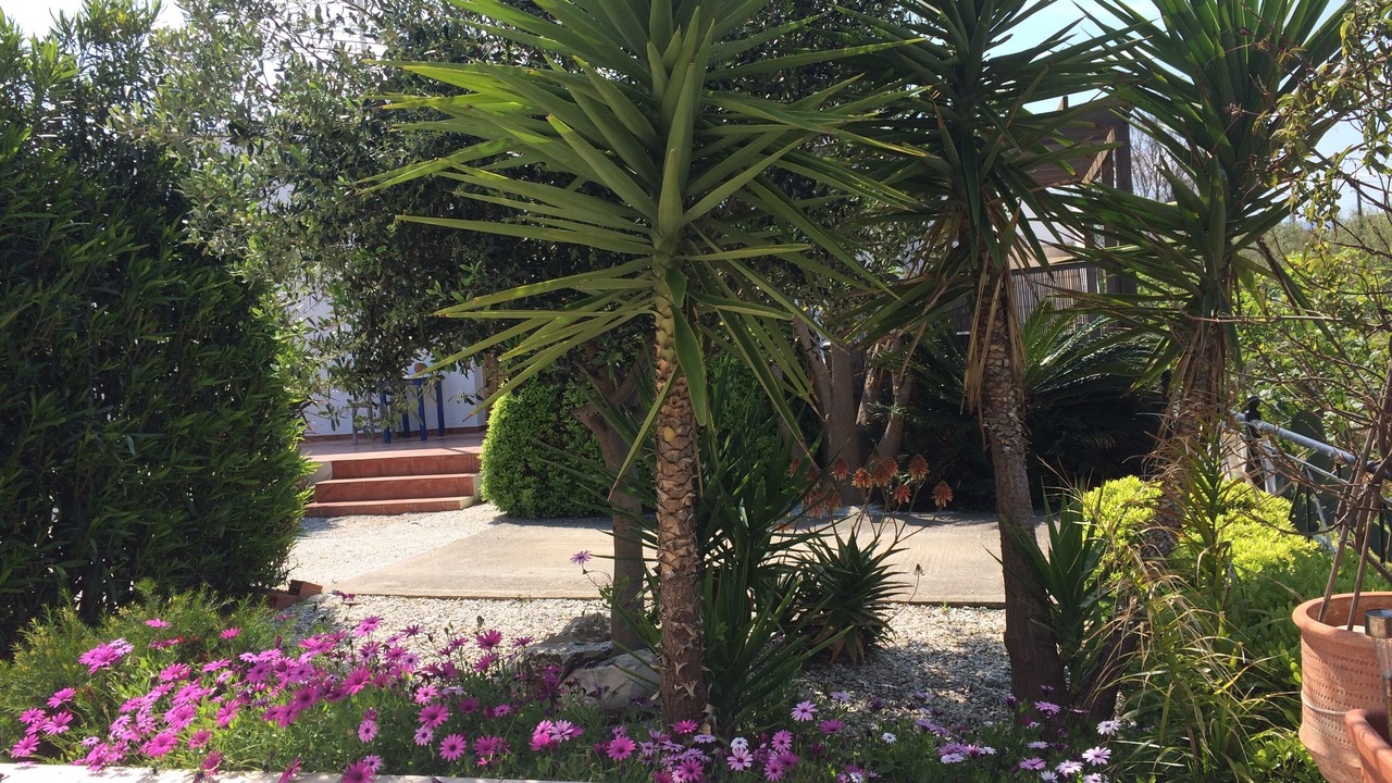 Photo of Outdoor in Tavronitis
