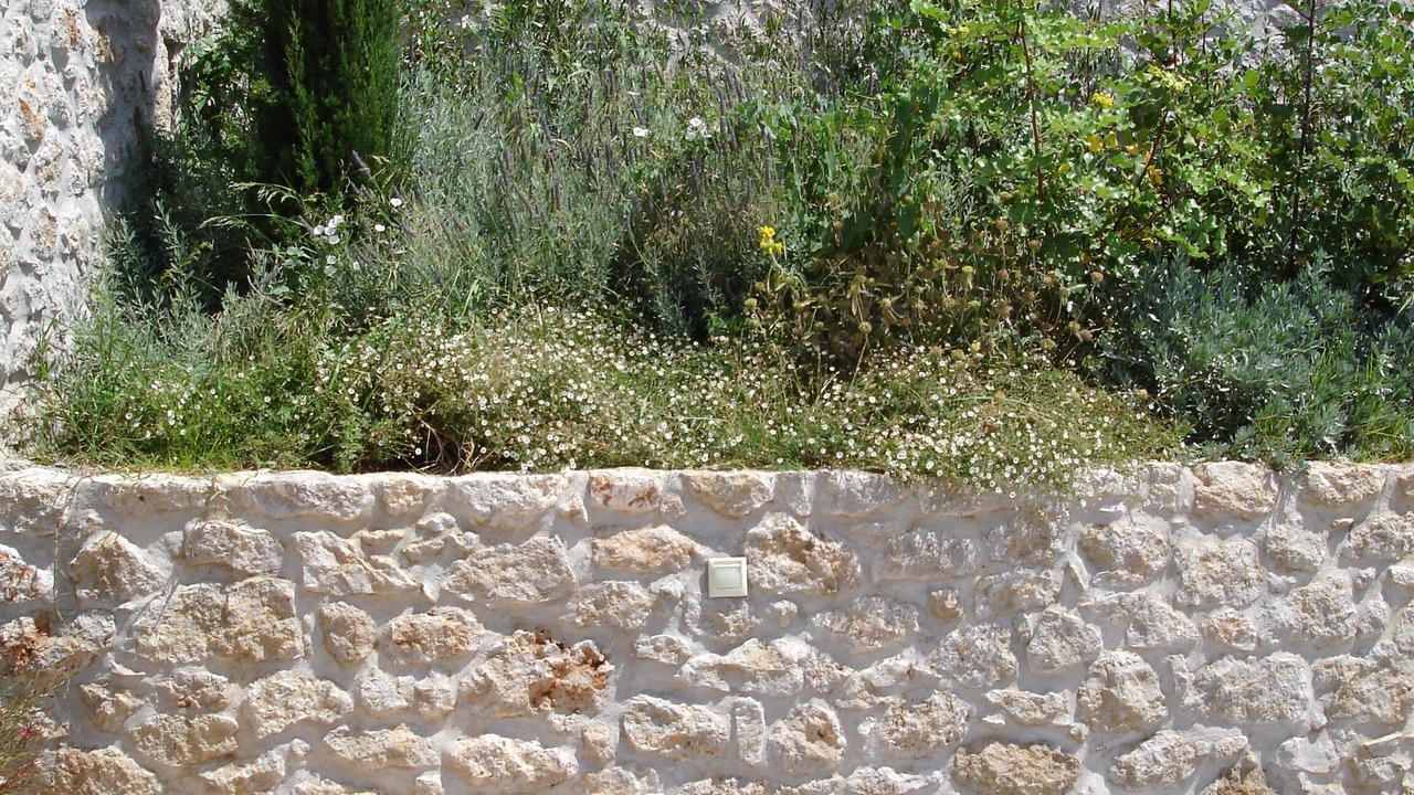 Photo of Outdoor in Itilo