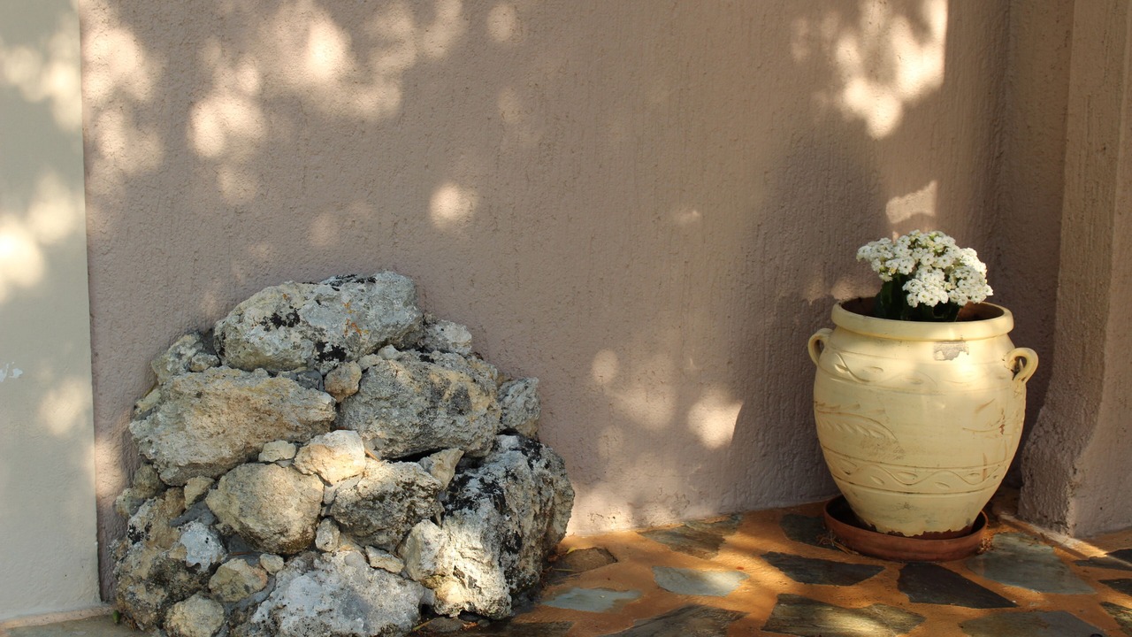 Photo of Others in Vlachata