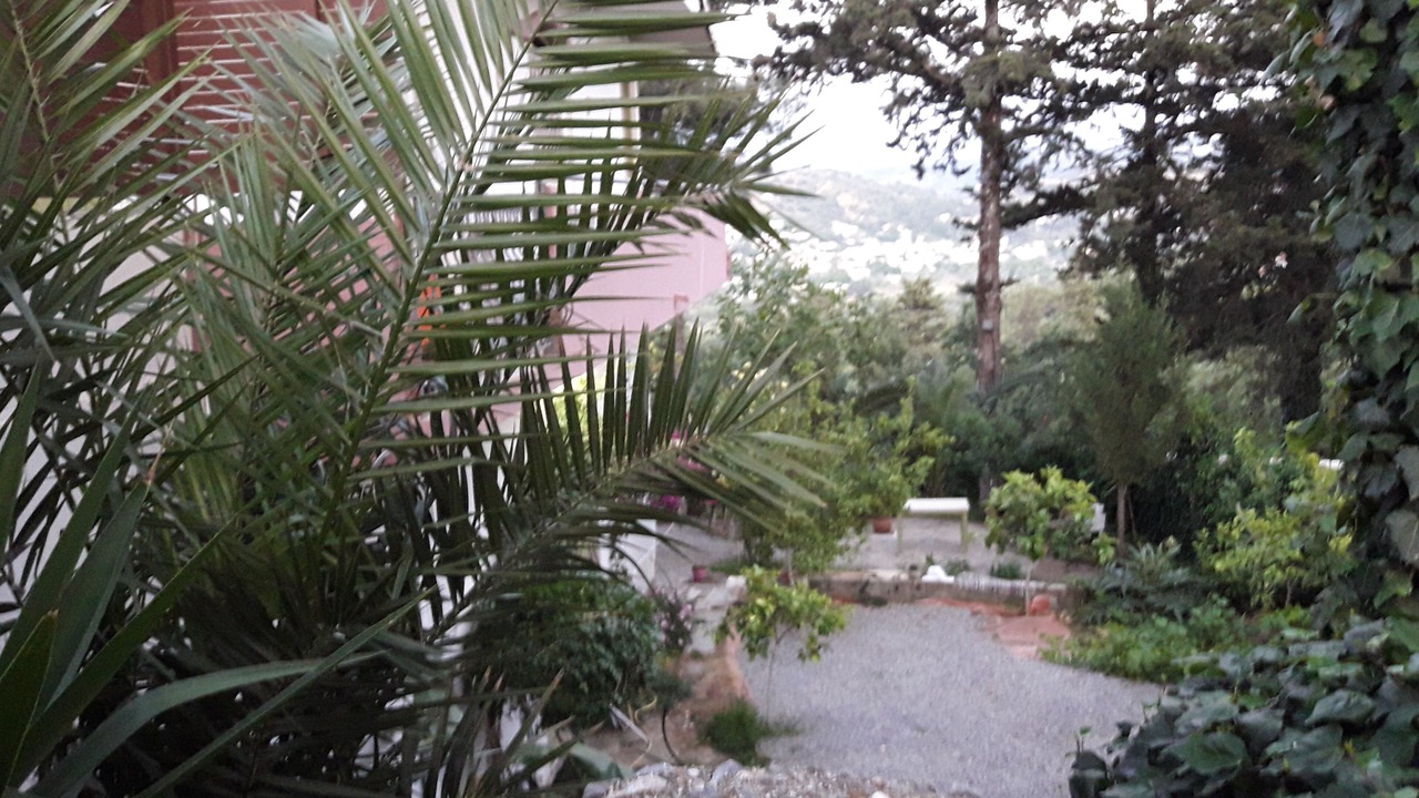 Photo of Outdoor in Kastellos