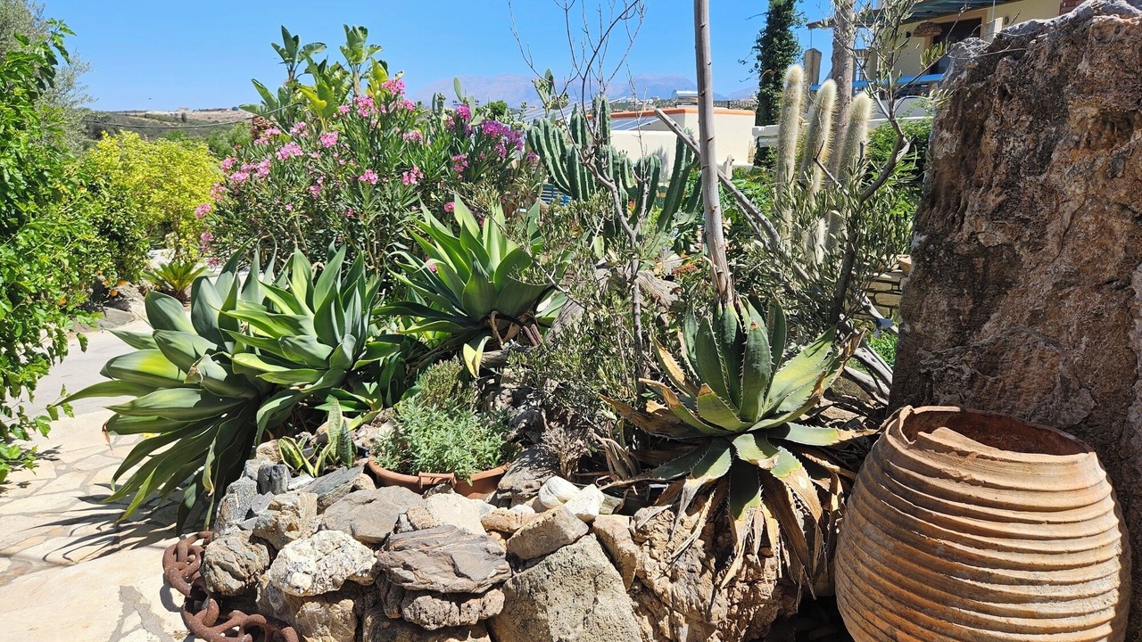 Photo of Outdoor in Sivas