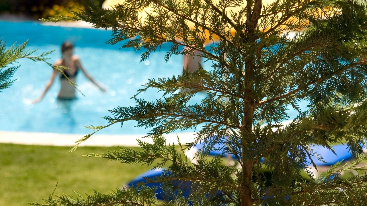 Photo of Outdoor in Pefkos