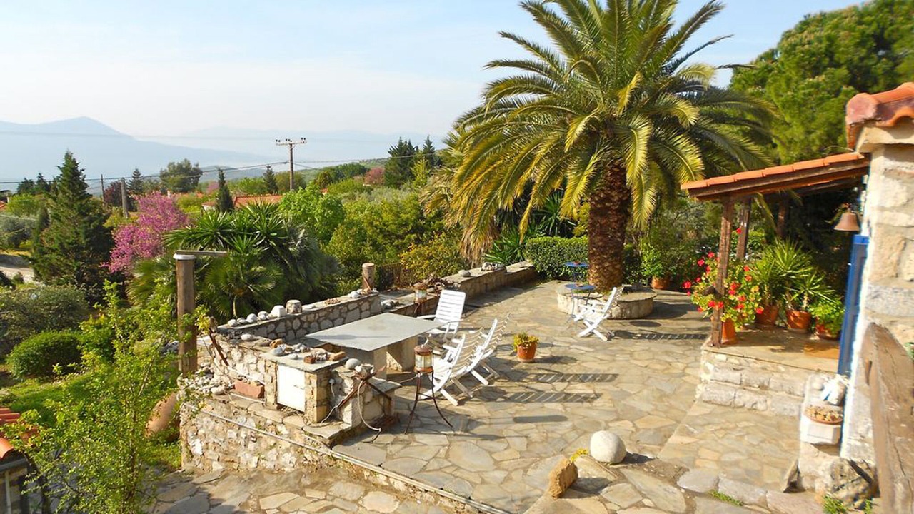 Photo of Outdoor in Stylida