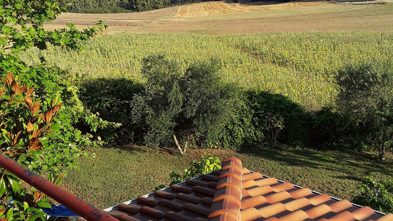Photo of Outdoor in Kassandra
