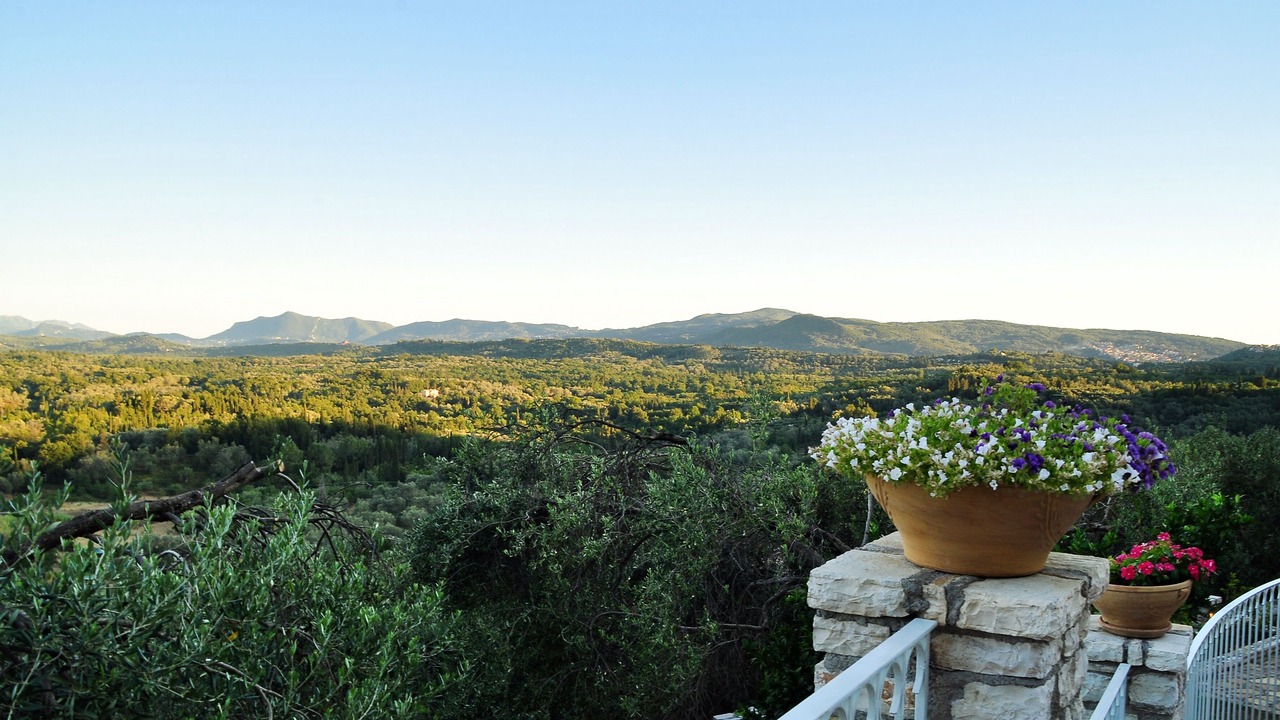 Photo of Outdoor in Skripero