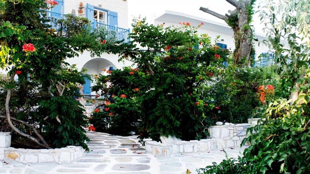 Photo of Outdoor in Drios