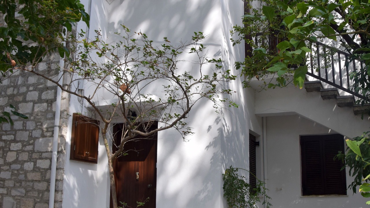 Photo of Outdoor in Zagora-Mouresi