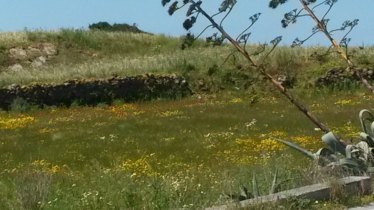 Photo of Outdoor in Naxos