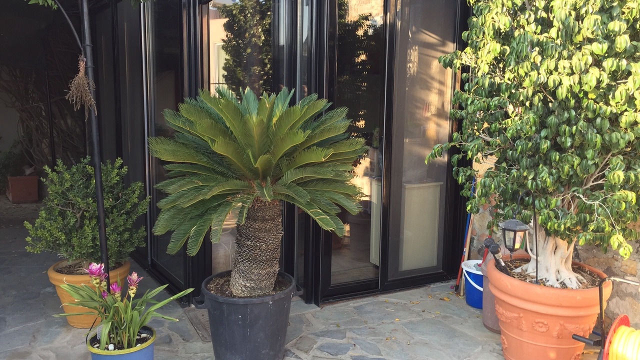 Photo of Outdoor in Antimachia
