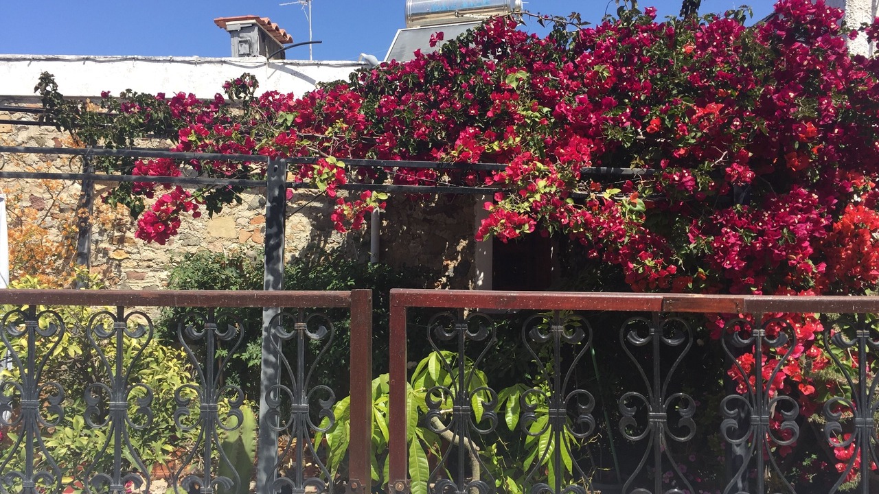 Photo of Outdoor in Antimachia