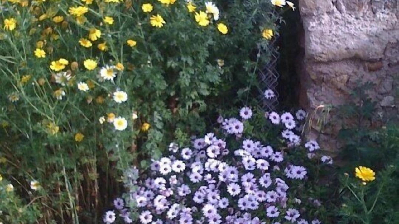 Photo of Outdoor in Antimachia