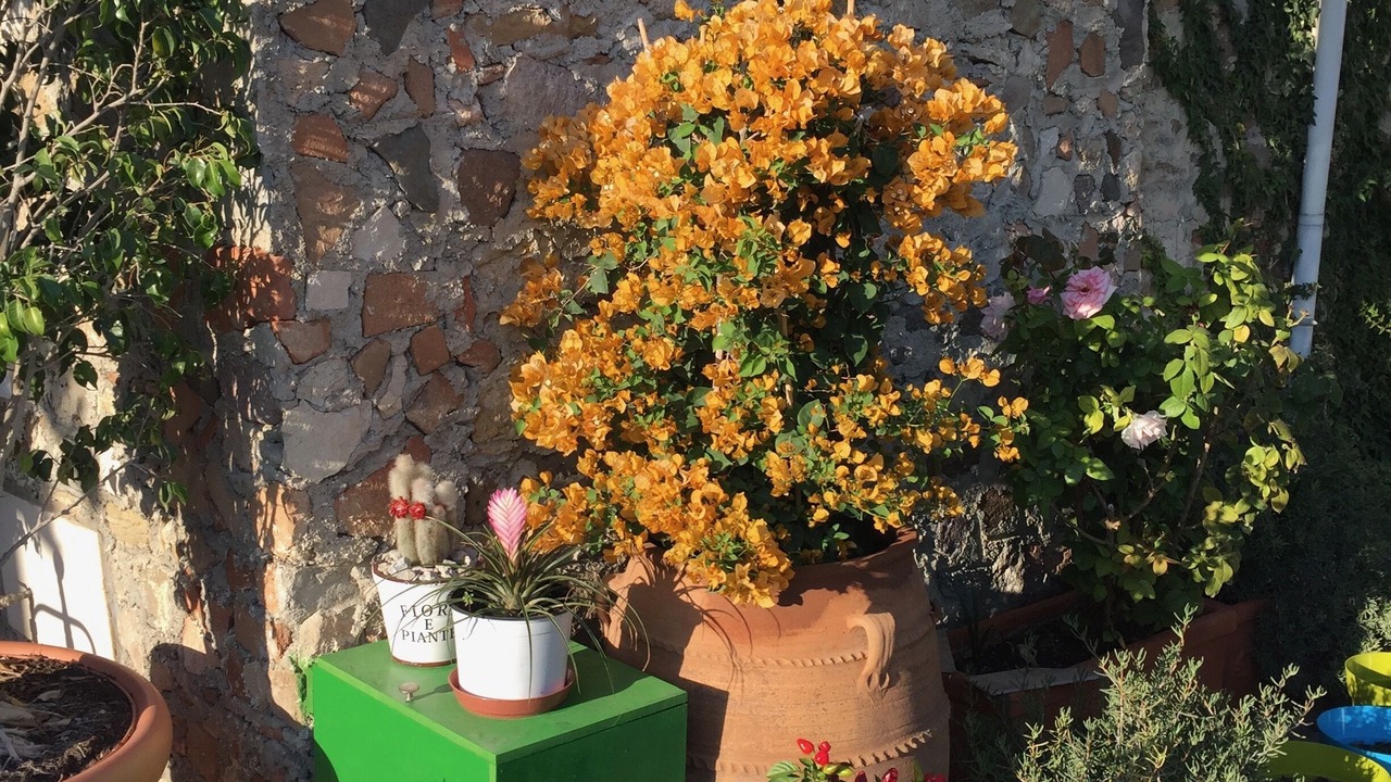 Photo of Outdoor in Antimachia