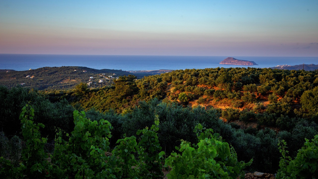Photo of Others in Platanias