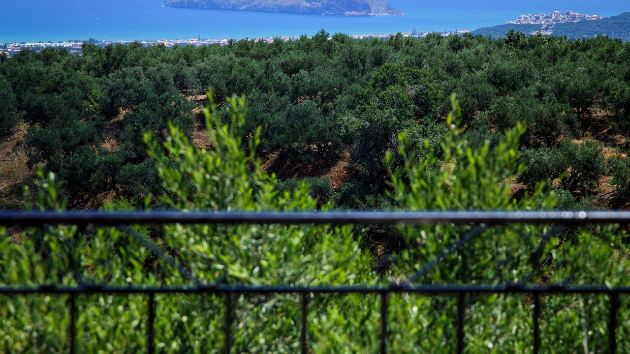 Photo of Outdoor in Platanias