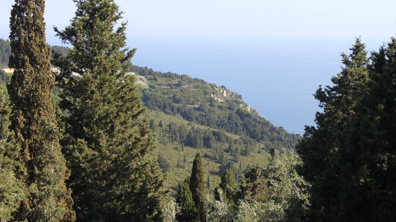 Photo of Others in Paxos