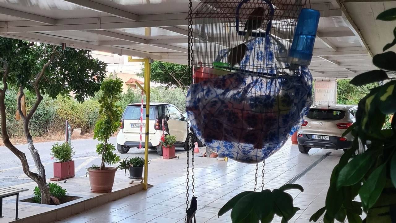 Photo of Outdoor in Nea Makri