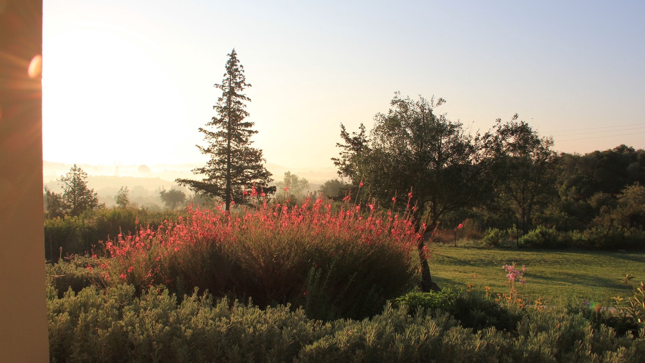 Photo of Outdoor in Vassilatika